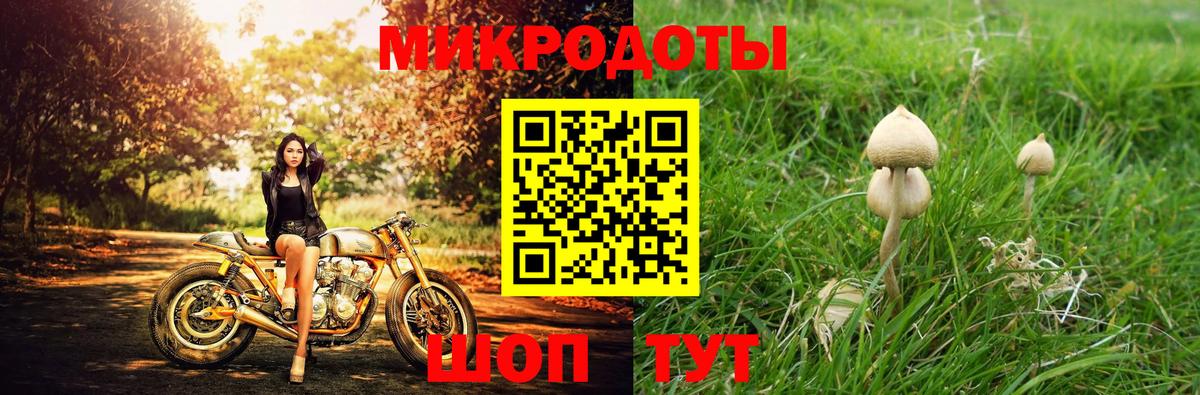 Протвино  Псилоцибиновые грибы Magic Shrooms  Вход с VPN  Псилоцибиновые грибы мицелий 